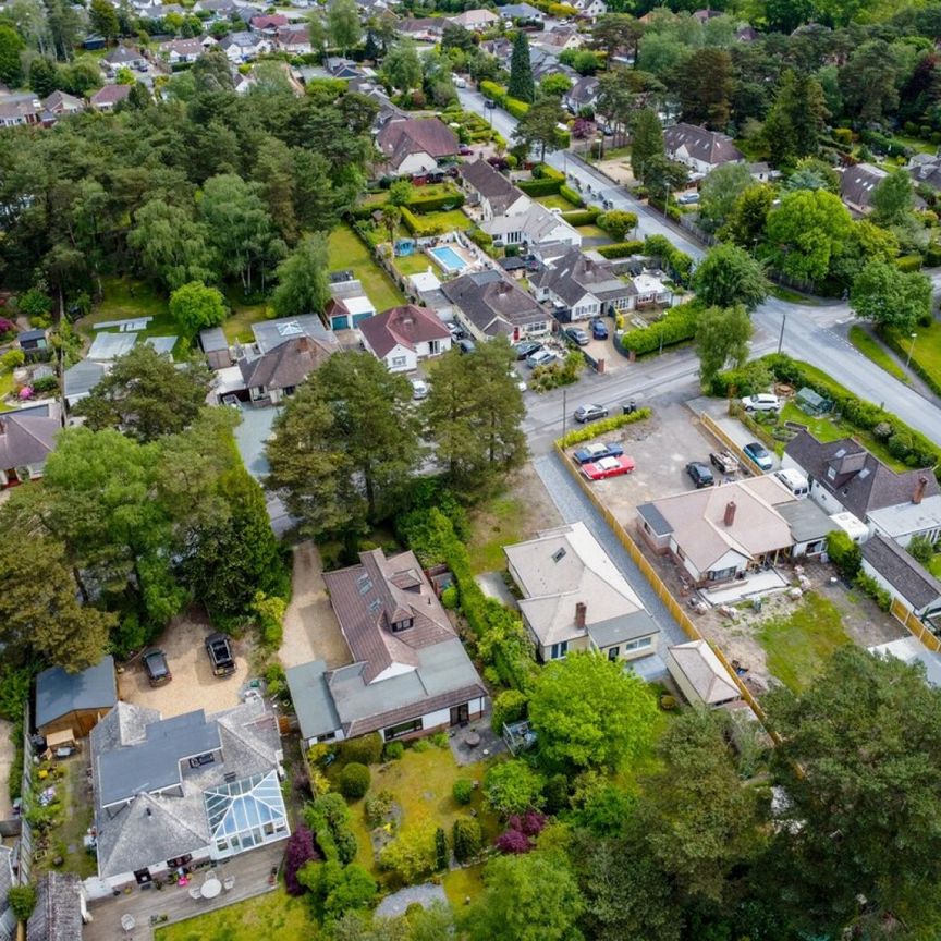 Ferndown LARGE MODERN BUNGALOW - Photo 1