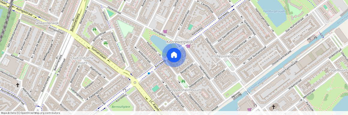 Professorenbuurt, 9714 AG, Korreweg, Groningen