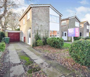 3 bedroom house to rent - Photo 1