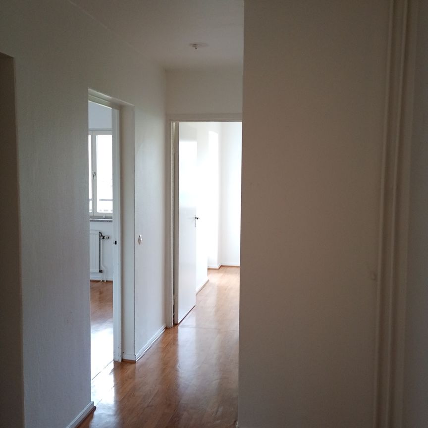 Ekbacken, Asarum - Foto 1