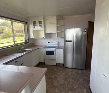 Sunny on Strode - Photo 5