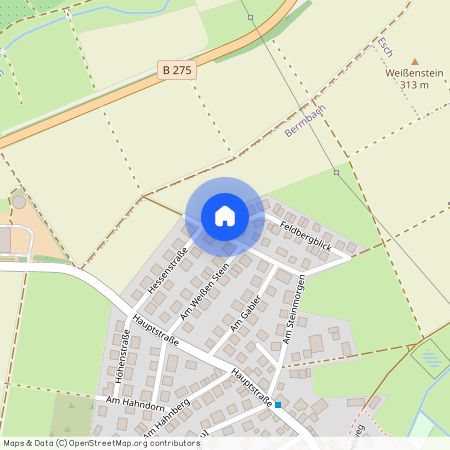 Feldbergblick 28, 65529 Waldems