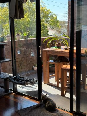 New Lambton - Photo 1