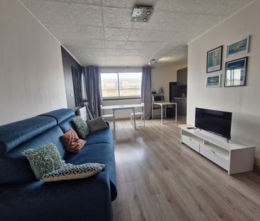 Location Appartement 1 pièce 29m² - Photo 2