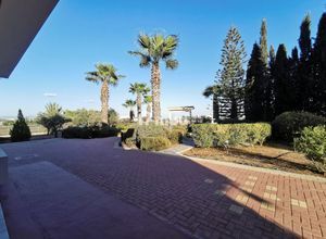 Βίλα για ενοικίαση - Στρόβολος - Φωτογραφία 2