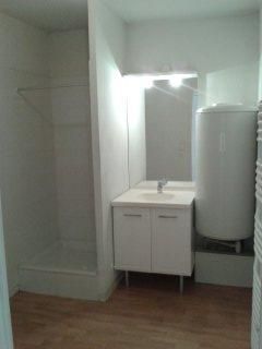 Location Appartement 1 pièce 36m² VILLEURBANNE 69100 - Photo 3