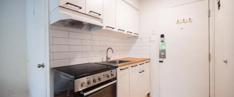 820 Roy Est | 820 Rue Roy Est, Montreal - Photo 1