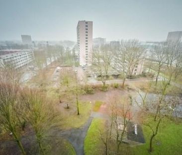 H. Cleyndertweg 0ong, 1025 Amsterdam, Nederland - Photo 4