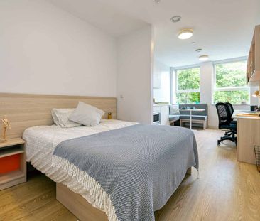 Silver Studio - Photo 6