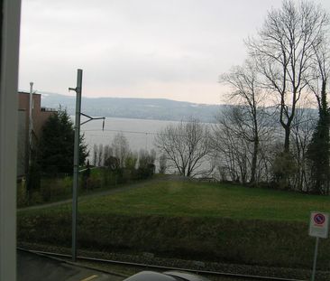 2.5 Zimmerwohnung in Wädenswil - Photo 4