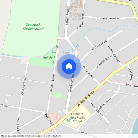 33 Alexander Street, NSW 2325, Cessnock