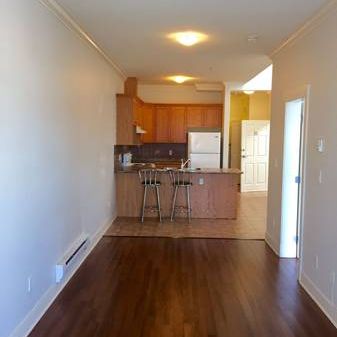 1 Bedroom apartment for rent prime location 49th and Main St - Photo 1