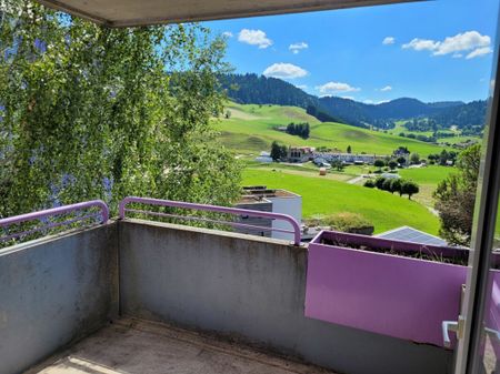 Chemin des Carabiniers 1, 4.5 pièces au 3ème Sud - Photo 4