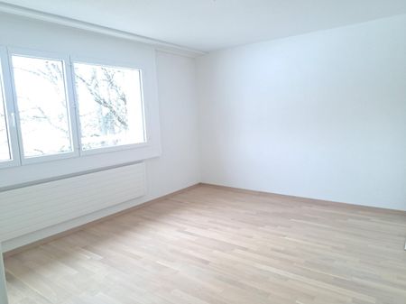 RENOVATED APARTMENT WITH BALCONY AND ELEVATOR - Foto 2