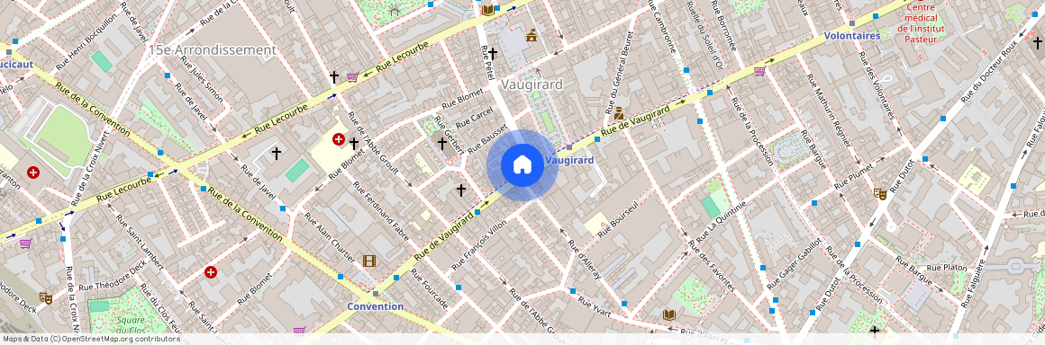 Rue de Vaugirard, 75015, Paris