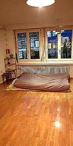 2½ Zimmer-Wohnung in Schaffhausen, möbliert - Foto 3