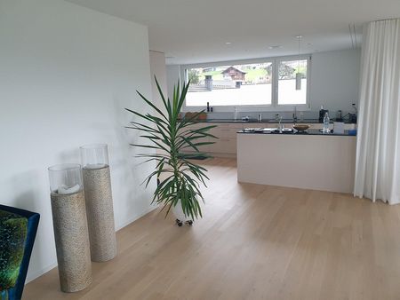 4.5-Zimmer Attikawohnung - Photo 2