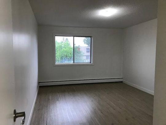 Premier Suite - 1 Bedroom - Photo 1