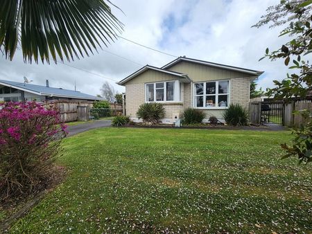 Sunny 3 bedroom brick home for rent - Te Awamutu - Photo 3