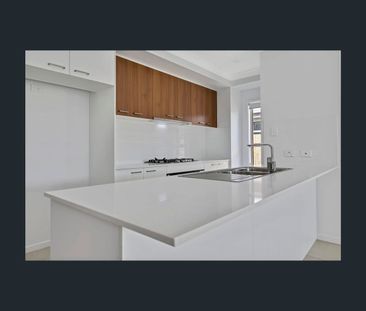 8 Phoebe Street, Nirimba, Qld 4551 - Photo 4