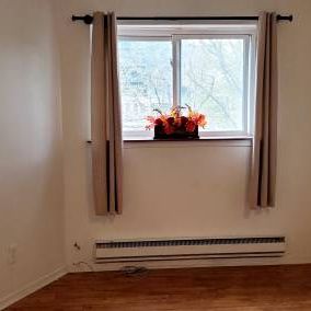 Toronto Bachelor Apt Available Utility Inclusive - Photo 3