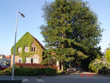 Oosterweg - Photo 3