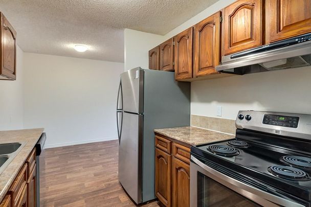 Renovated Suite - 1 Bedroom - Photo 1