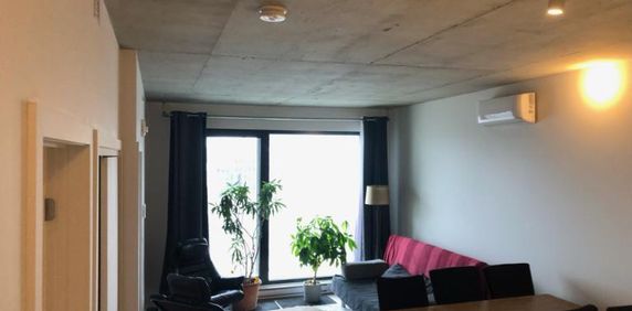3 1/2 - Montréal (Ville-Marie (Centre-ville)) - 1 700 $/mois - Photo 2