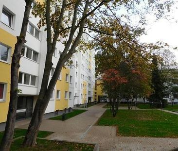 Das Glück hat ein Zuhause: ansprechende 3-Zimmer-Wohnung - Photo 2