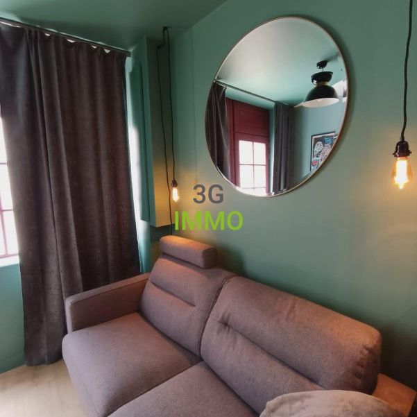 Location / Studio meublé - Photo 1