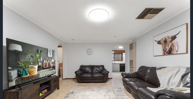 Entertainers Delight 4 bed/2 Bath/Separate Rumpus & In ground Swimming Pool plus Entertaining Area - Photo 1