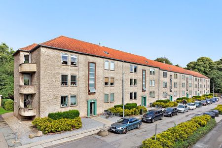 Afd. 67 Skovvænget - Photo 3