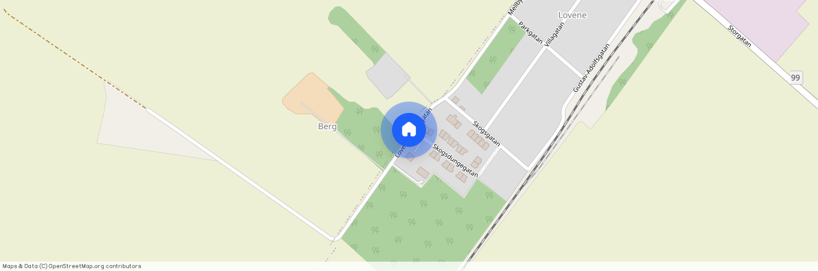 Skogsdungegatan, Lidköping