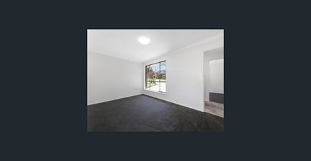 Beautifully Renovated with Sunroom - Photo 2