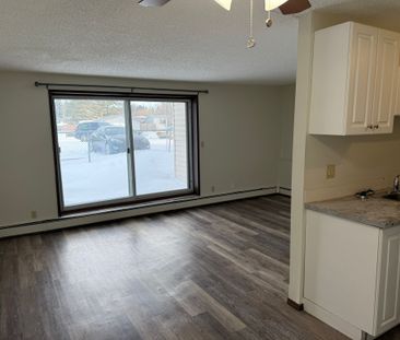 Large 2 Bedroom Unit in the Pines! - Photo 3