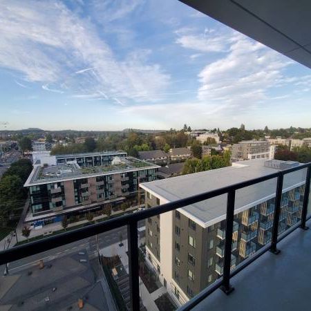 Stunning 11th Floor Apartment with Breathtaking Views - Photo 4