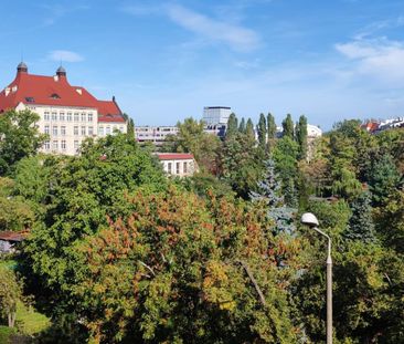 Komfortowe mieszkanie przy Wroclavii - Zdjęcie 6