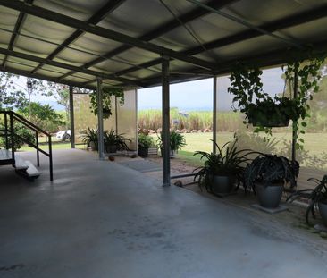 Devereux Creek, 4753, Devereux Creek Qld - Photo 4