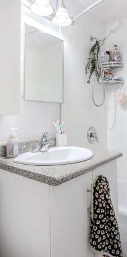 Appartement 3 ½ à louer Sainte-Foy / Sillery juillet 2026 - Photo 1