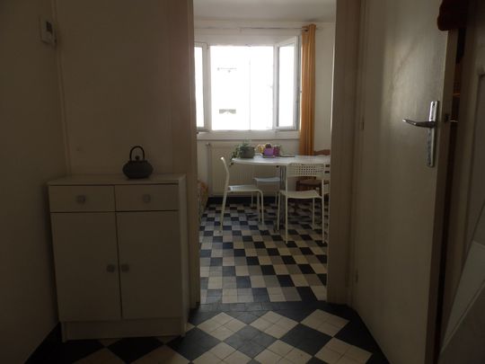 Location Appartement 2 pièces 58m² GRENOBLE 38000 - Photo 1