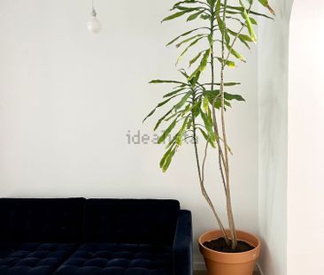 Apartamento em Anjos, Arroios - Photo 2