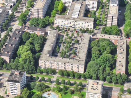 Kanteel 99 - Photo 2