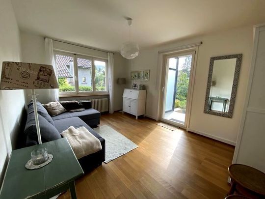 NON-SMOKING APARTMENT IN MUTTENZ (BL), FURNISHED - Photo 1