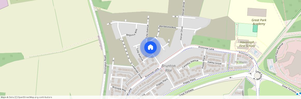 Mandevilla Way, Great Park, NE13