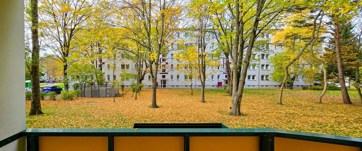 Schöne helle 2-Raum-Wohnung mit Balkon im Erdgeschoss - Foto 1