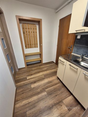 Pronájem bytu 1+kk a garsoniéry 25 m² - Fotografie 4
