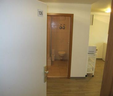 Helles, modern möbliertes Appartement in zentrumsnaher Lage Augsburgs - Foto 1