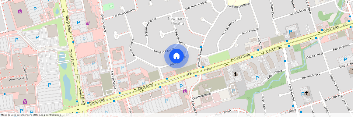 24 Walter Avenue Unit# Lower, Newmarket