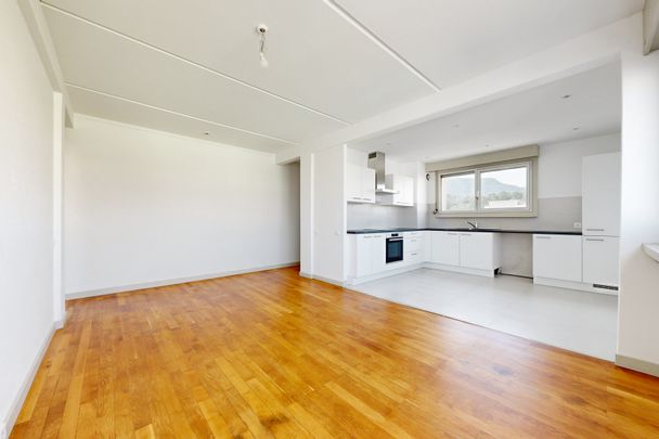 Un bel appartement proche de l'Arve ! - Photo 1