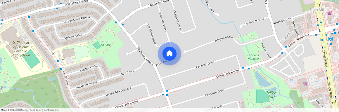 28 El Dorado Street, Richmond Hill